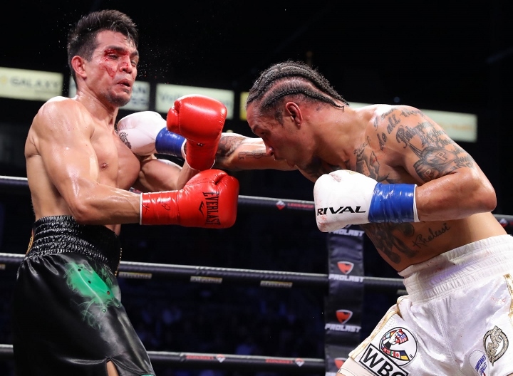 Photos Regis Prograis Takes Out Jose Zepeda in Eleven, Wins WBC Title